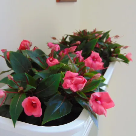 公寓式酒店 Liberty 4*