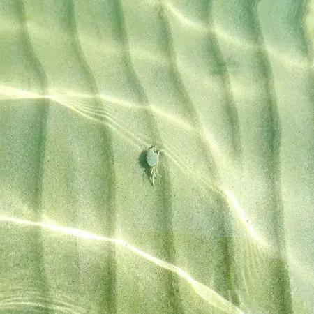 Liberty 公寓式酒店